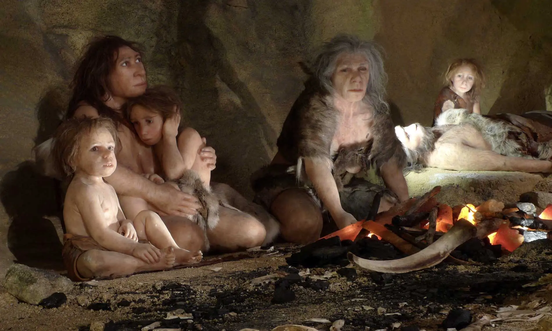 Begini Cara Manusia Zaman Dahulu Bertahan dari Pandemi dan Perang 10 Gambaran artistik keluarga Neanderthal yang dipamerkan di Museum Neanderthal di Kroasia. Foto: Nikola Solic/Reuters