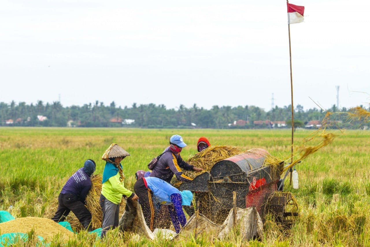 Rahasia Inovasi Pertanian China Maju Pesat Sejak 2012 11 inovasi pertanian indonesia