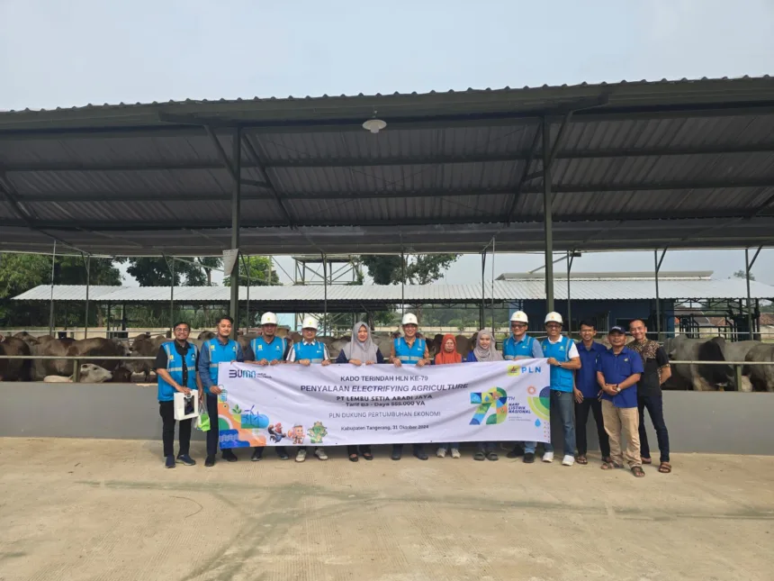 Senior Manager Niaga dan Manajemen Pelanggan PLN UID Banten, Ari Prasetyo Nugroho, bersama Manager PT Lembu Setia Abadi Jaya (LSAJ), Drh. Dika Damayanti, beserta jajaran, berfoto bersama setelah kegiatan penyalaan Electrifying Agriculture yang diadakan pada Hari Listrik Nasional ke-79.