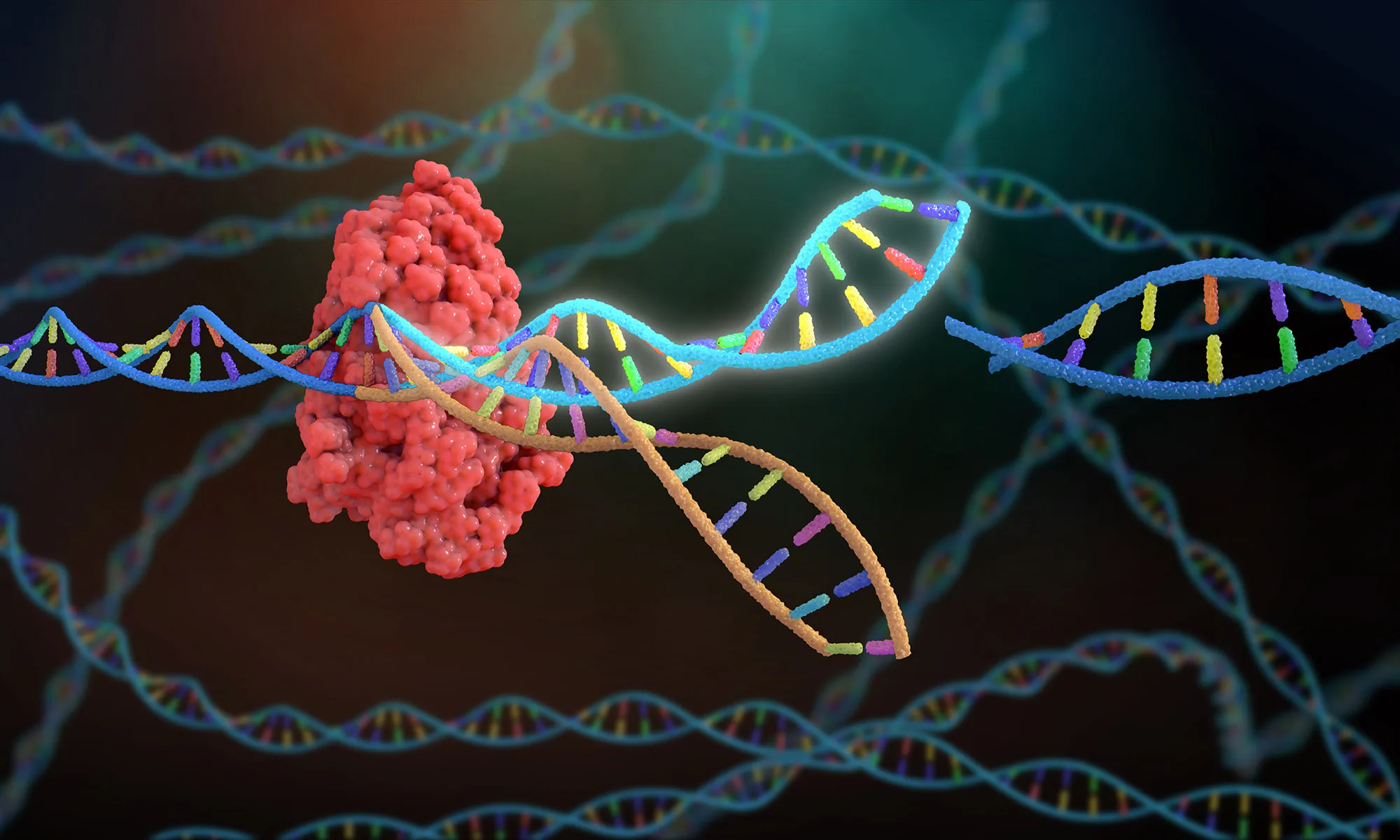 Teknologi Masa Depan: Apa yang Akan Menggebrak Setelah AI? 14 Dalam beberapa tahun mendatang, kita mungkin melihat penggunaan CRISPR untuk menciptakan obat-obatan yang lebih efektif atau bahkan untuk memperbaiki kerusakan genetik yang terjadi sejak lahir.