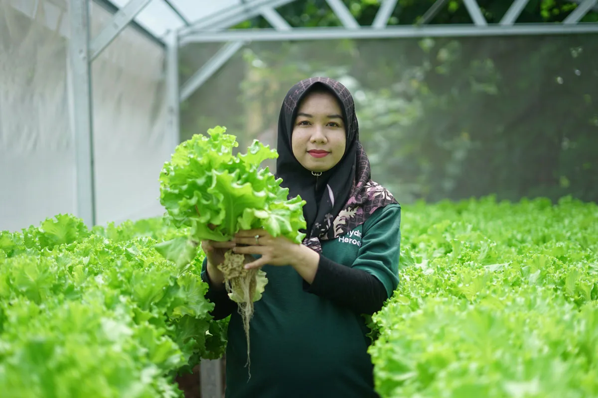 Sharp Hydro Heroes Sukses Mencetak Petani Muda Berkelanjutan 10 Sharp Hydro Heroes