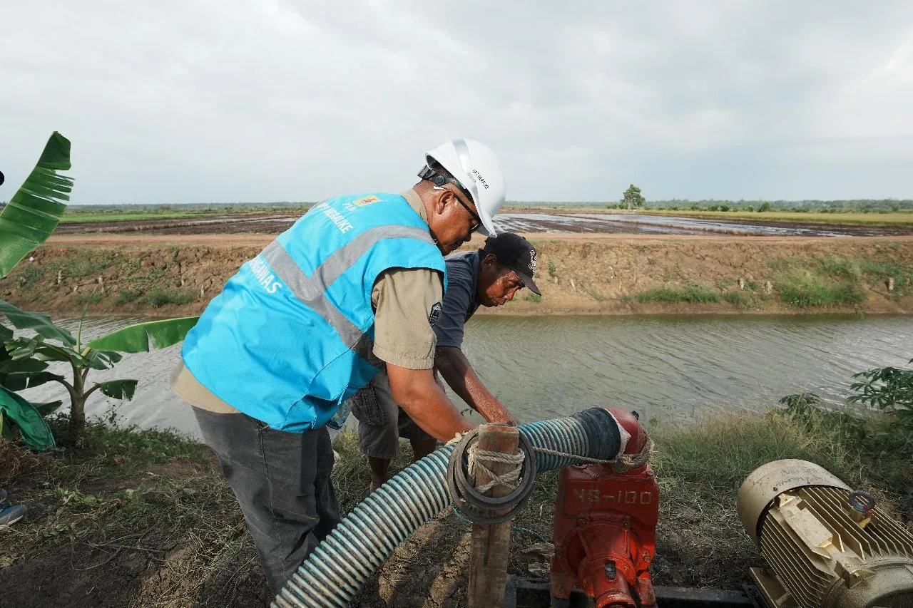 300 Ribu Pelanggan Manfaatkan Program Electrifying Agriculture PLN, Petani Lebih Sejahtera! 10
