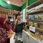 Program Pemberdayaan UMKM PLN UID Banten raih penghargaan nasional