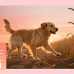 Gemini AI besutan Google, yang menawarkan fitur generative AI untuk melakukan pengeditan hanya dengan perintah teks sederhana.