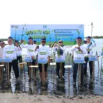 Gubernur Banten, GM PLN UID Banten, PLN Grup dan Forkopimda, menanam mangrove sebagai komitmen menjaga ekosistem pesisir