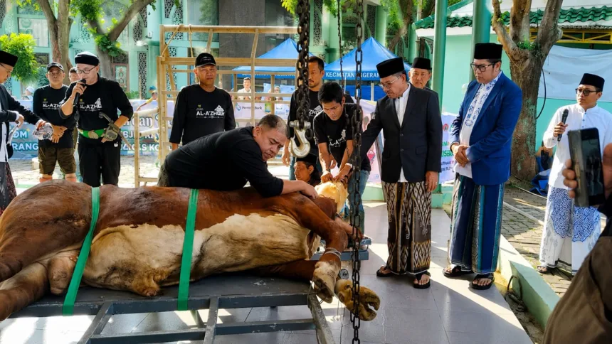 Momen Wali Kota Tangerang berserta jajaran menyaksikan pemotongan hewan kurban Idul Adha 1447H di Masjid Raya Al A’zhom Kota Tangerang
